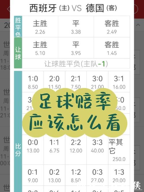 世界杯竞猜APP如何选择高赔率玩法